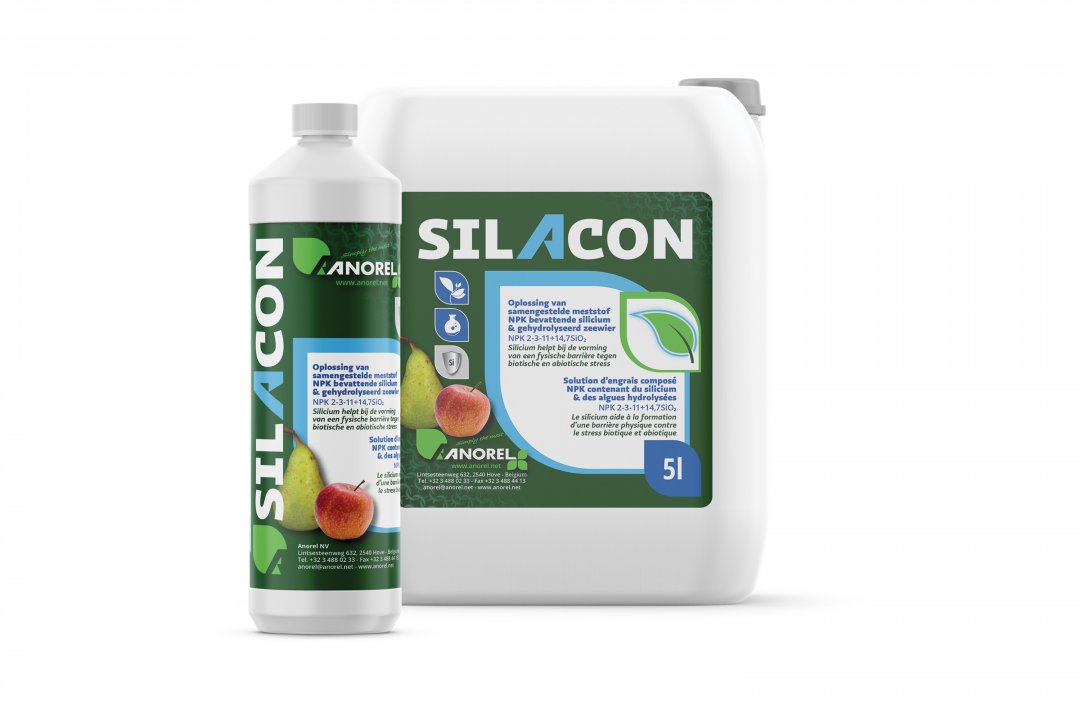 Silacon